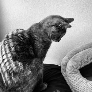 Meet your Posher, Stacy